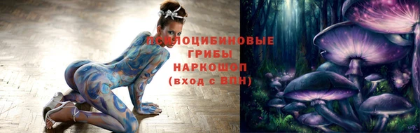 PSILOCYBIN Горнозаводск