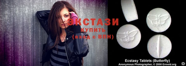 ECSTASY Богородицк
