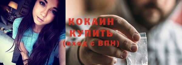 сатива Беломорск