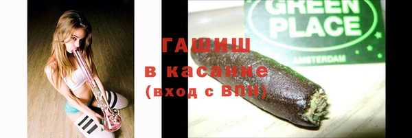 сатива Беломорск