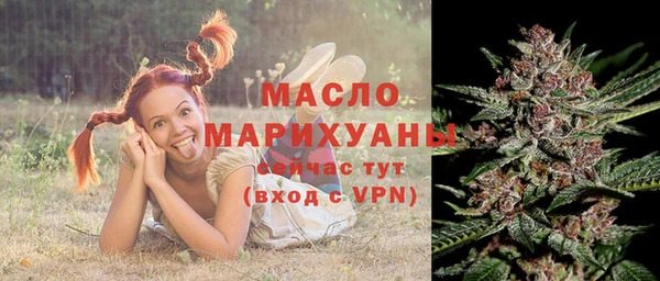сатива Беломорск