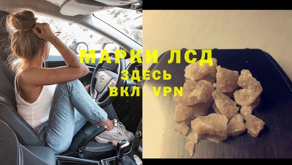 сатива Беломорск