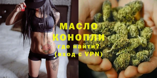 сатива Беломорск
