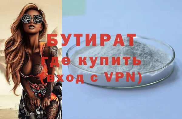 сатива Беломорск